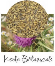 ORGANIC MILK THISTLE SEED Herbal Tea PREMIUM GRADE Silybum marianum Dried Seed