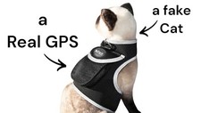 iTrackPET GPS Pet Tracker for Cat - Waterproof, GPS Location & Activity Tracker