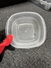 No Lid Square Plastic Container 6