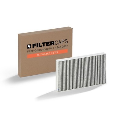 Miele Dunstabzugshauben-Filter DKF 29-P - Standard von FILTERCAPS