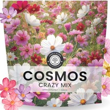 Crazy Cosmos Mix - Large 1 Ounce Packet - 5,000 1 Pouch (5,000 Seeds)  307.04 per gallon