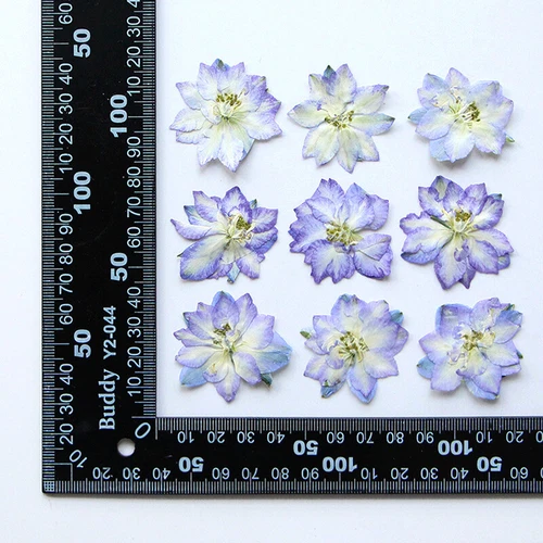 Dried Pressed Flowers Natural Epoxy Resin Candle Nail Art Scrapbooking Craft AU - Picture 110 of 210