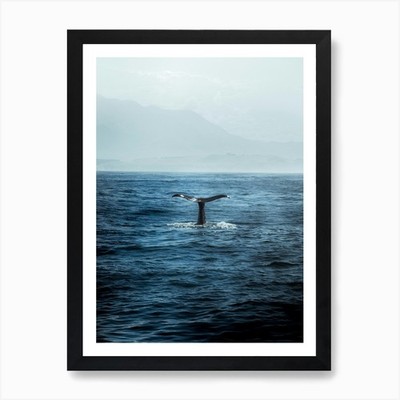 Walbeobachtung in Kaikoura, Neuseeland gerahmtes Wandbild Poster Leinwanddruck Bild