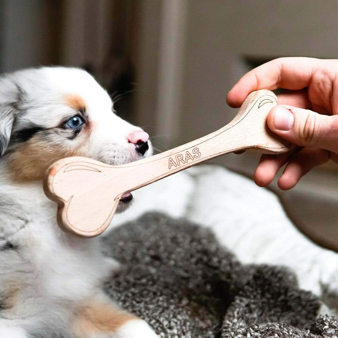 Dog toy - wooden bone dog toy small