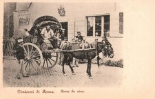 Dintorni Di Roma Carronda Vino Horse Carriage Rome Italy Vintage Postcard