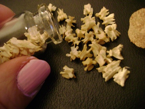 VERTEBRAE BOTTLE real bones for steampunk jewelry or magic crafts TAXIDERMY LOT