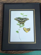Framed Mark A Klingler Butterfly Painting Monarch Butterflies Signed 2007