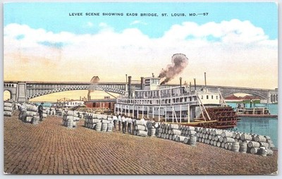 Vintage St. Louis Levee Scene Eads Bridge Postcard Steamer Cargo