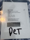2025 Panini Absolute Isaac TeSlaa Base (RAW)