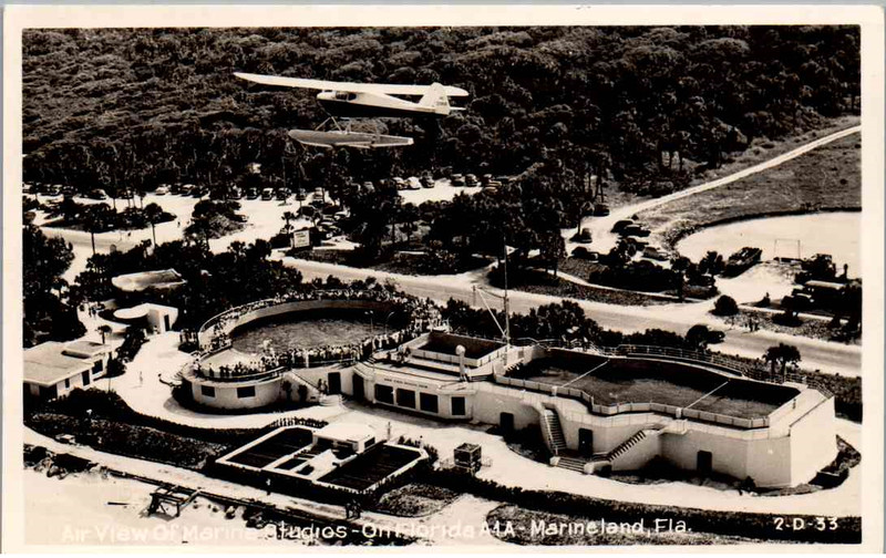 RPPC - Marineland, Florida - A view of the Marine Studios - 1940s