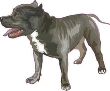 5in x 4in Blue Pitbull Sticker Car Truck Vehicle Bumper Decal