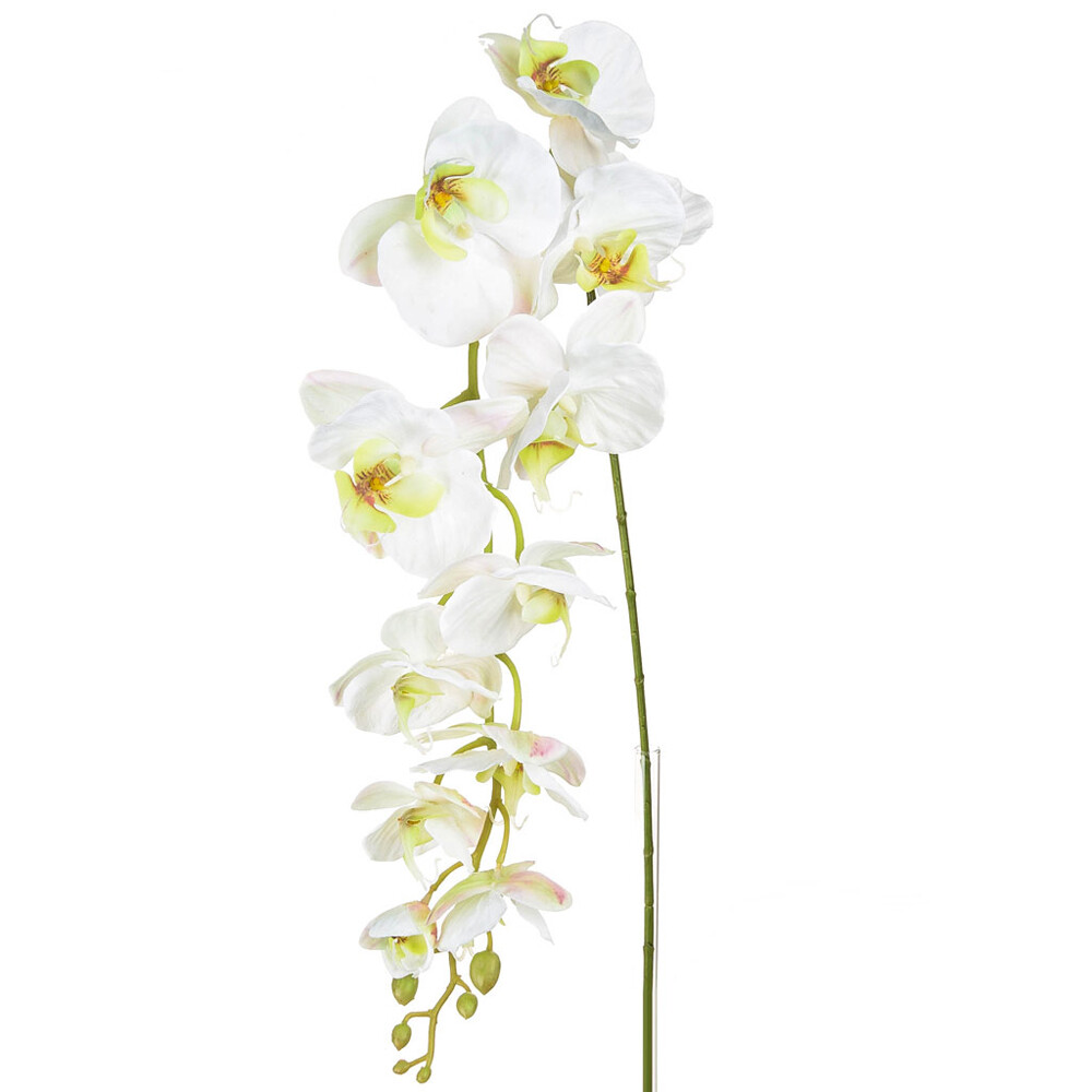 Orchid Phalaenopsis Artificial Silk Trailing 130cm White