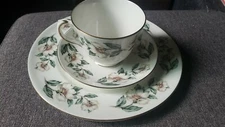 Staffordshire TEA CUP SAUCER Bread plate FINE BONE CHINA ENGLAND MAGNOLIAS