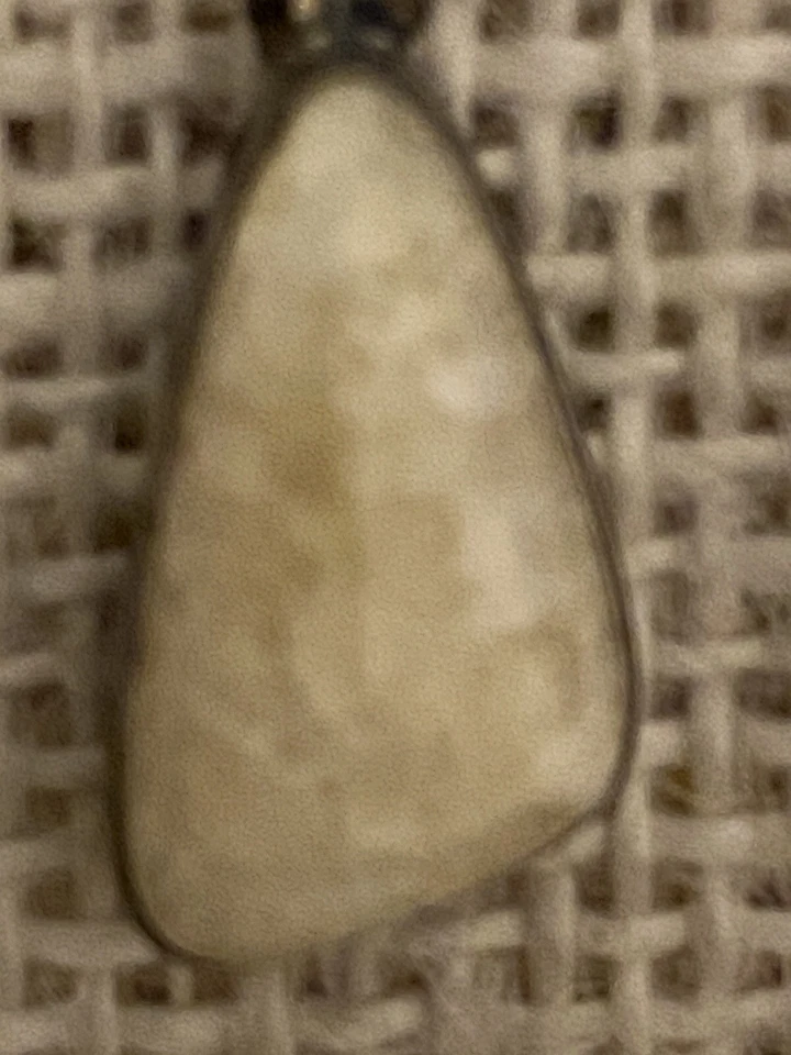 Brincos de pedra preciosa coral fóssil branco 925 prata esterlina marca nativa LJ. d - Imagem 2 de 3