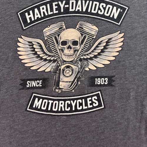 Harley Davidson Shirt Mens Medium Gray Horny Toad Temple Texas Biker READ - Picture 12 of 15