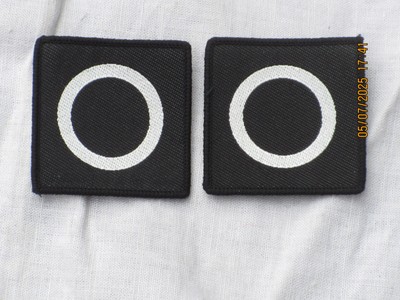 6th (UK) Division,TRF, farbig, Patch ,Abzeichen, 2x