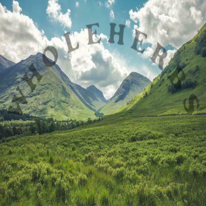 EYE BRIGHT EYES Fresh Ground Powder The Freshest It Can Be 100 V Capsules