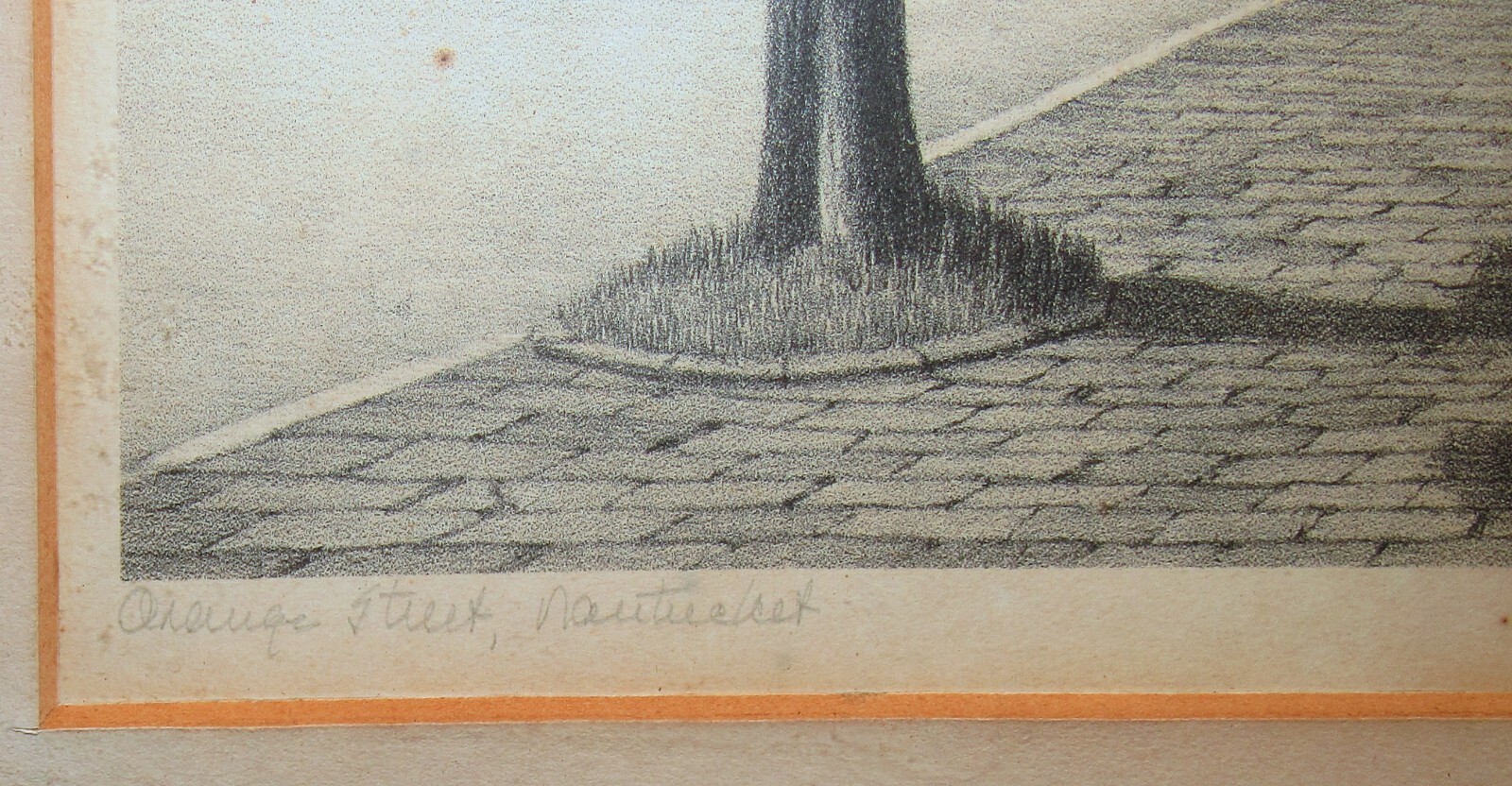 Foto 7 di 8