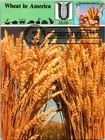 Dr Jim Stamps Maximum Card Farmers Market Bread Forever Fdc