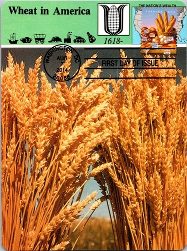 Dr Jim Stamps Maximum Card Farmers Market Bread Forever Fdc