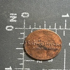 H-E-B Science Treehouse of the Witte Museum San Antonio Elongated Pressed Penny