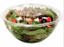 P.E.T. CLEAR PLASTIC BOWL & LID Combo 24 oz Salad/Fruit/To-Go Airtight
