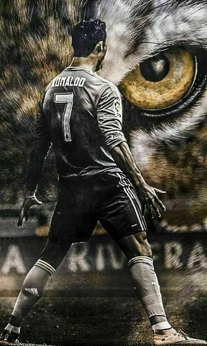 Tableau Toile Football Zidane 30x45 Cm - Décoration Murale Sportive Multicolore