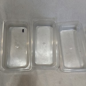 Lot 3 Clear Cambro EN 631-1 - 1/3size x 2.5in GN 1/3 2.5 Qt Restaurant Equipment