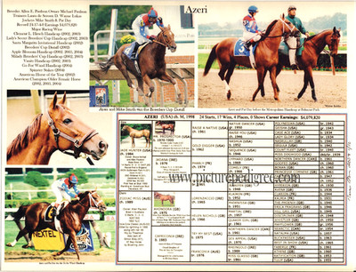 Race Horse Filly  AZERI HOY Picture Pedigree 8.5 X11