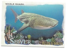 2021 Allen & Ginter  WHALE SHARK Deep Sea Shiver #DDS-9