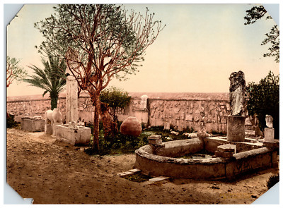 Tunisia, Museum garden Carthage   photochromie, vintage photochrome  17x23 