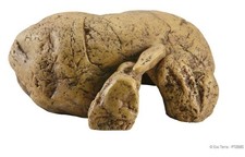 Exo Terra Reptile Cave Ideal Corn Snakes Lizard Gecko Baby Tortoise Hide Basking