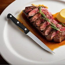 8 PCS 8 Inches 8 Pack Stainless Steel Steak Knives Set Premium Steak Knife Set