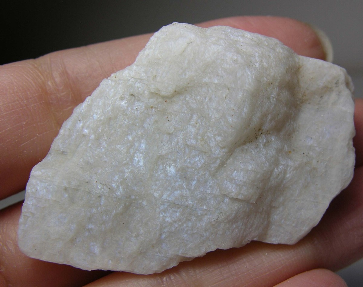 【Stone 】クルーネック - 白 W8EnCR25yMGK.jpg?width=768
