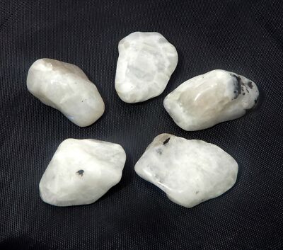 Treated White Rainbow moonstone Ct Polished Tumble Loose
