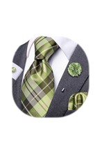 Mens Tie and Lapel Pin Paisley Striped Floral Necktie for Men Green Yellow