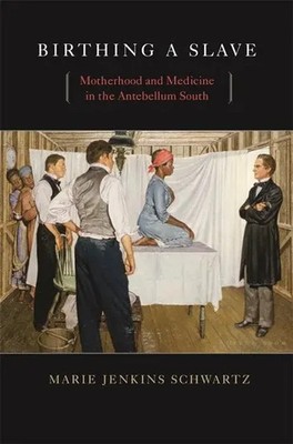 Birthing a Slave | Motherhood and Medicine in the Antebellum South | Schwartz
