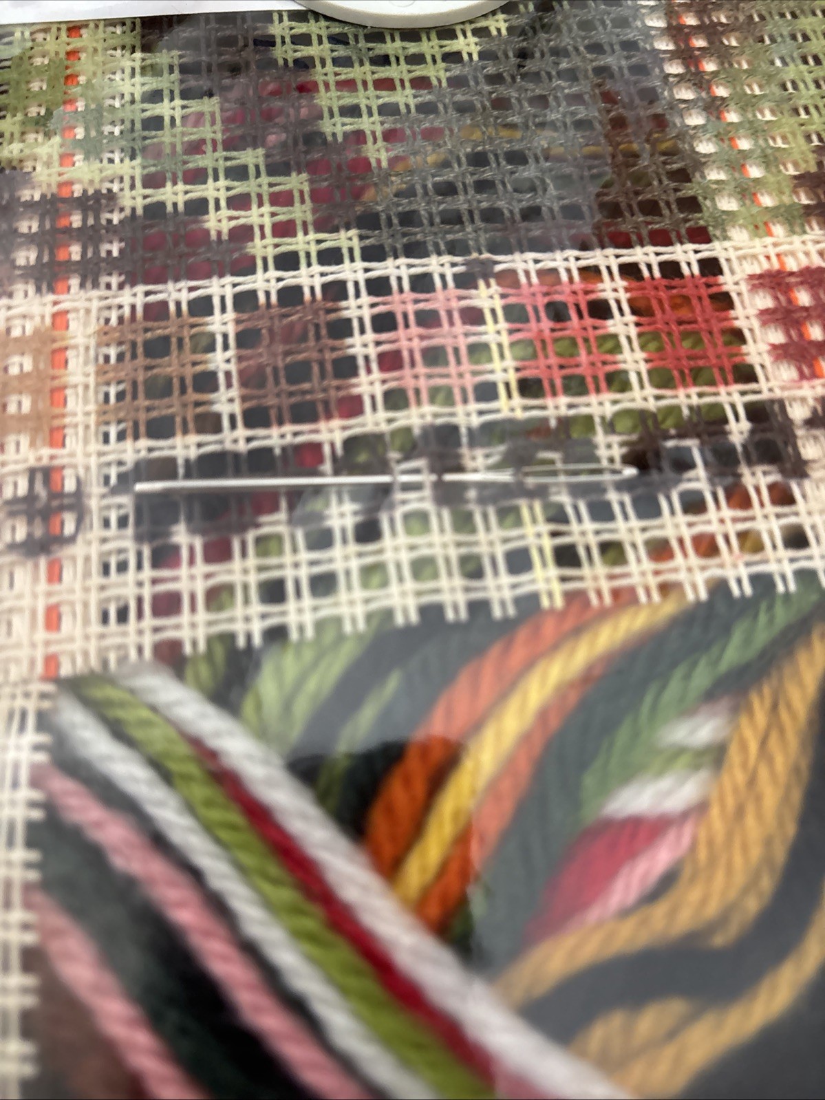 Bild 3 von 5