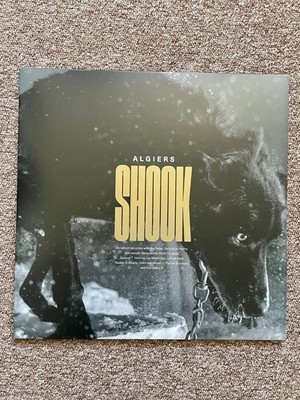 LP Shook Algiers limited golden vinyl Doppel-LP TOP ex-bloc party (M. Tong)