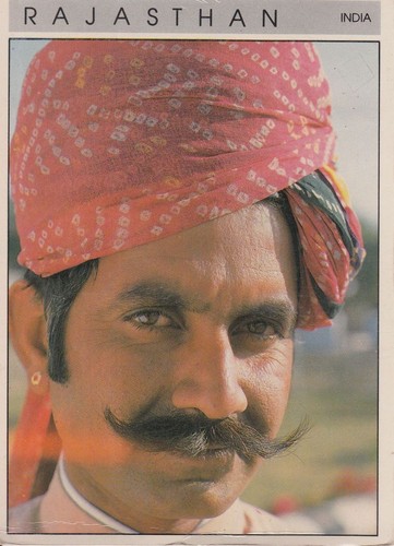11 postales de la India de RAJASTHAN en su mayoría 1960-1980 (L6170) - Imagen 3 de 3