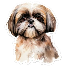 Shih Tzu Dog - Vinyl Decal Sticker - Car Window Laptop - ebn11384