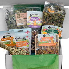 Rabbit Treat Box, Small Animal Forage, Bunny Gift, Nibble Treats, Boredom Buster
