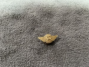 UNITED AIRLINES WINGS VINTAGE SCREW BACK PIN 100,000 MILES