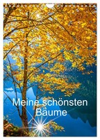 "Calendar 2027 · UK Version · My Most Beautiful Trees (Wall Calendar 2027 8\" × 12"