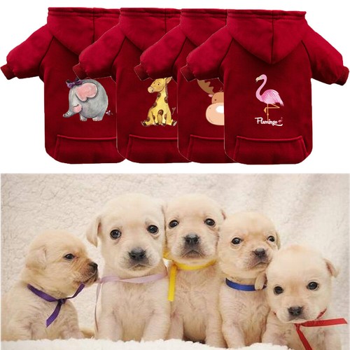 Weihnachten Haustier Kleidung Katze Welpen Hund Winter Pullover ↑ - Bild 6 von 22