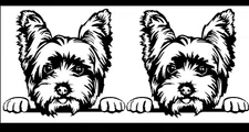 Yorkie Rendering Graphic Vinyl Decal Car Truck Tablet Laptop Notebook Mug
