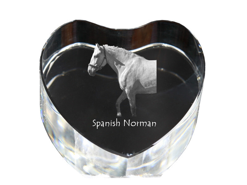 Spanish Norman a photo of a horse in crystal, a crystal heart, a unique  frame
