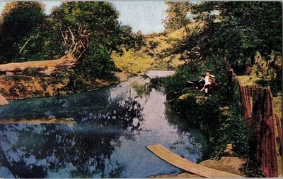 Original Old Swimming Hole James Whitcomb Riley Greenfield Indianna Vtg Postcard