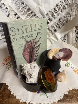Bundle, Book Wood Storage Box, Seashells, Round Trinket, & Black Vase, Bundle, 9
