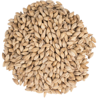 Golden Promise Pale Ale Malt   British Barley Malt for Brewing & Distilling 1lb